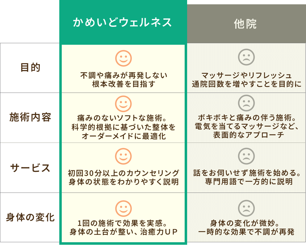 かめいどウェルネスを他院の比較表